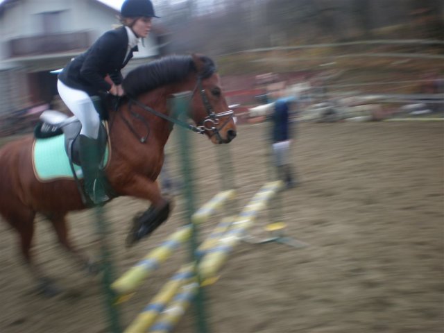 Hubertus 2010